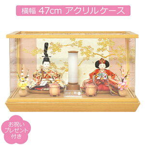 l` P[X o s씌p Oڂ s e  ANP[X RpNg ЂȐl`