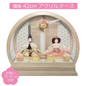 l` P[X e ~^ ی^ ANP[X  ЂȂ e Ԍ42cm RpNg ЂȐl`