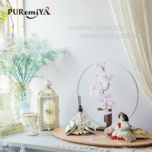 y65cm s40cm ~`̑ƑԂ_Ȑl`zl` l RpNg _  Ђȗl ܂ǂ܂ ߑe  ЂȂ܂ yAbN puremiya Ղ݂ ݂Ђ {G 304
