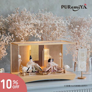 _10OFFX[p[SALEԌ^y57cm s30cm V̒WFP[Xzl` l ЂȐl` Ђȗl RpNg   _ P[X ANP[X ЂȂ܂ uE