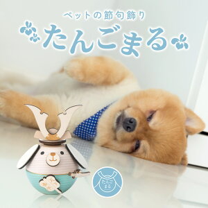 ペットの五月人形 たんごまるわん ブルー 兜 犬 ワンちゃん 愛犬 飾り 記念日 お祝い ペット用 五月人形 グッズ ペット用品 小型犬 大型犬 ドッグ コンパクト おしゃれ かわいい 端午の節句