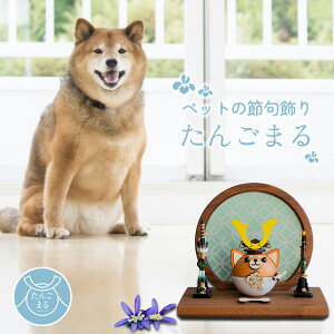 ペットの五月人形 たんごまるわん ダークブラウン衝立シリーズ【人形茶しばVer】 兜 犬 ワンちゃん 愛犬 飾り 記念日 お祝い グッズ ペット用品 小型 大型犬 ドッグ コンパクト かわいい 端