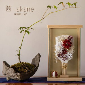 [Ԓ|Cg2{] Hq l` P[X RpNg ؐ O  _ i` ̎q ߋ ̐ߋ Y KX l  l`̂Â F inori doll Hq 