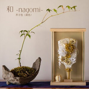 [Ԓ|Cg2{] Hq l` P[X RpNg ؐ O  _ i` ̎q ߋ ̐ߋ Y KX l  l`̂Â F inori doll Hq 