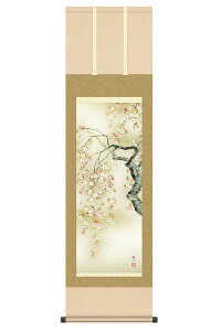 掛軸 掛け軸 花鳥画 春飾り 桜花 桜花爛漫 洛彩緞子本表装 尺三 森山観月 【2026年度新作】 h06-snk-kz5ma2-129