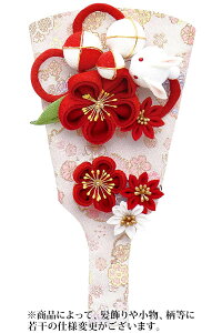 Hq Pi JUViԁj 7 y2026NxVz h081-mm-hg2624-7