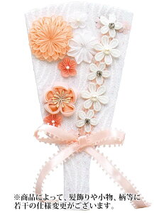 Hq Pi iwbhhXzCgj 7 y2026NxVz h081-mm-hg2529-7w