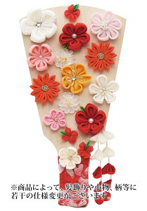 Hq Pi Ԕ 7 y2026NxVz h081-mm-hg2616-7