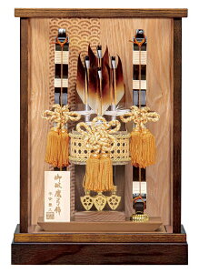 j| Lv P[X q 11 ANP[X y2026NxVz h081-mo-101709 GH-004