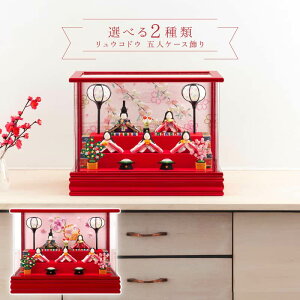 l` ERhE ߂ RpNg ЂȐl`  P[X ܐl LfB[bh CXg[ ANP[X y2026NxV쐗l`zyIׂ2ށz h073-rkcp-ca29-3-1-5