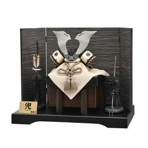 ܌l` Lv   P  8 y2026NxVz h075-mo-502884