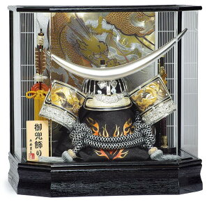 ܌l` Lv ɒB@ p P[X  25 ZpANP[X y2026NxVz h075-mo-525676 GG-181