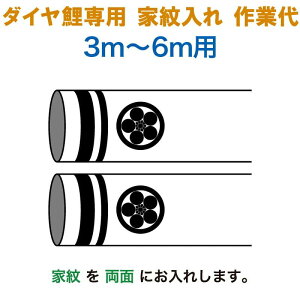 ̂ڂ Lv _C ̂ڂ 3m`6mp Ɩ1 () _Cp ƖƑ y2026NxVz mo-kamon-01