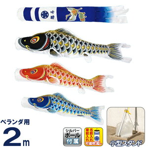̂ڂ  ̂ڂ x_p ^X^hZbg 2m IX V^ߋT  ƖE y2026NxVz mk-147-445