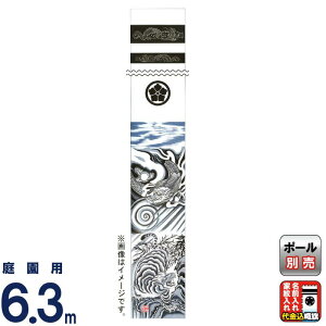 ҊĜڂ 唨 қ  6.3m D ɗ ƖE㍞ y2026NxVz ko5o-603-201