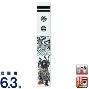 ҊĜڂ 唨 қ ĉڂ 6.3m c ƖE㍞ y2026NxVz ko5o-603-640