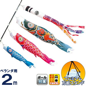 ̂ڂ i ̂ڂ x_p 2m X^hZbg  ї |GXe^t^ ƖE\ y2026NxVz 117-050