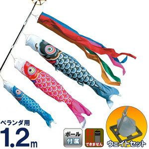 ̂ڂ i ̂ڂ x_p 1.2m EFCgZbg  FT |GXe^t^ ƖEs y2026NxVz 122-610