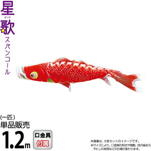 ̂ڂ i ̂ڂ Pi 1.2m ̃XpR[ Ԍ H |GXeTen y2026NxVz 000-401-s