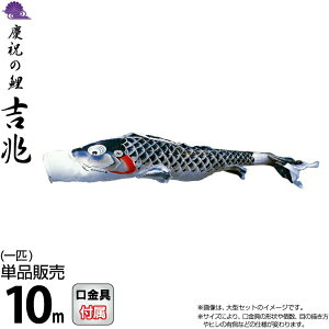 ̂ڂ i ̂ڂ Pi 10m g cǰ  H |GXeWK[hDn y2026NxVz 000-550