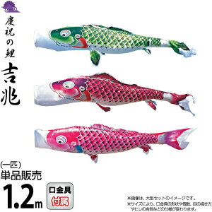 ̂ڂ i ̂ڂ Pi 1.2m g cǰ H |GXeWK[hDn y2026NxVz 000-570