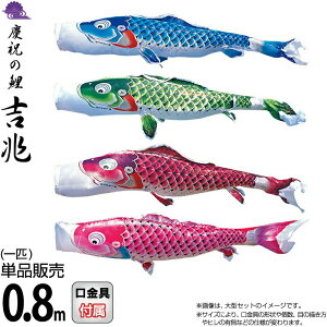 ̂ڂ i ̂ڂ Pi 0.8m g cǰ H |GXeWK[hDn y2026NxVz 000-572-s