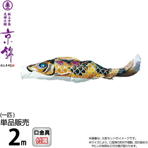 ̂ڂ i ̂ڂ Pi 2m  FTV  |GXěDn y2026NxVz 001-166-s