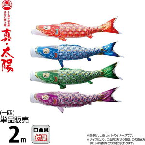 ̂ڂ i ̂ڂ Pi 2m ^Ez ̋P H |GXeTen y2026NxVz 003-808