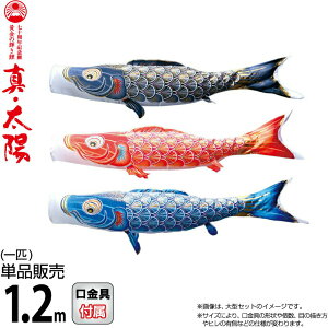 ̂ڂ i ̂ڂ Pi 1.2m ^Ez ̋P H |GXeTen y2026NxVz 003-810-s