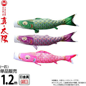 ̂ڂ i ̂ڂ Pi 1.2m ^Ez ̋P H |GXeTen y2026NxVz 003-810