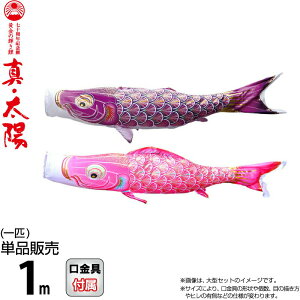 ̂ڂ i ̂ڂ Pi 1m ^Ez ̋P H |GXeTen y2026NxVz 003-811