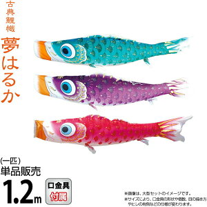 ̂ڂ i ̂ڂ Pi 1.2m ͂邩 H |GXeA[n y2026NxVz 001-640