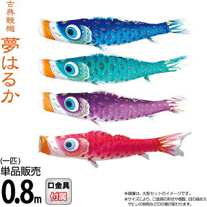 ̂ڂ i ̂ڂ Pi 0.8m ͂邩 H |GXeA[n y2026NxVz 001-642-s