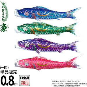 ̂ڂ i ̂ڂ Pi 0.8m  ʌV H |GXeVL[uCgn y2026NxVz 001-842-s