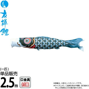 ̂ڂ i ̂ڂ Pi 2.5m FT  |GXe^t^n y2026NxVz 003-571