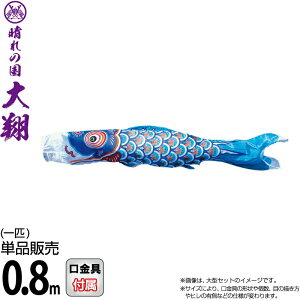 ̂ڂ i ̂ڂ Pi 0.8m   |GXeVL[uCgn y2026NxVz 003-715-s