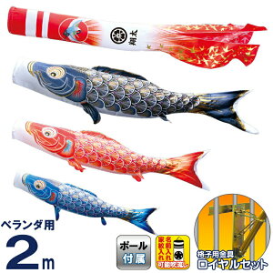 ̂ڂ i ̂ڂ x_p 2m CZbg ^Ez ̋P H |GXeTe ƖE\ y2026NxVz 003-793