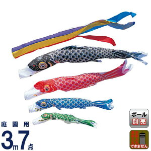 ̂ڂ ^ix ̂ڂ 뉀p 3m 7_Zbg Ȃ ܐF iC y2026NxVz wtk-kgg0034