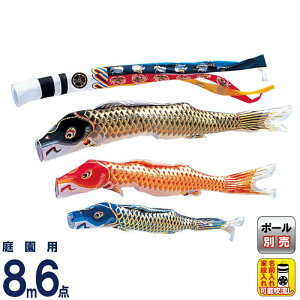 こいのぼり ワタナベ 鯉のぼり 庭園用 8m 6点セット 江戸 瑞祥吹流し ポリエステル 家紋・名前入れ可 【2026年度新作】 wtk-enz0083