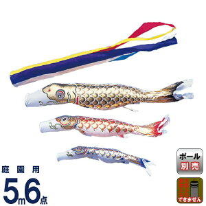 ̂ڂ ^ix ̂ڂ 뉀p 5m 6_Zbg  ܐF iC y2026NxVz wtk-gng0053