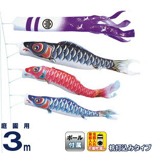 ̂ڂ LO ̂ڂ 뉀p 3m 뉀Zbg  |GXe  YōtZbg ƖEO\ y2026NxVz ym-7512030