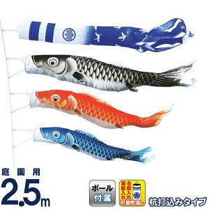 ̂ڂ LO ̂ڂ 뉀p 2.5m 뉀Zbg  |GXe  YōtZbg ƖEO\ y2026NxVz ym-1612025