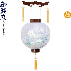 ~ a ڈ PL drLED rj y2025NxVz h078-ymt-0246