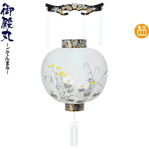 ~ a ړ nG drLED rj y2025NxVz h078-ymt-0249-led1584