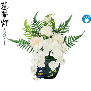 ~ @ؓ ~iX  G} dCR[h y2025NxVz h078-ymt-0400