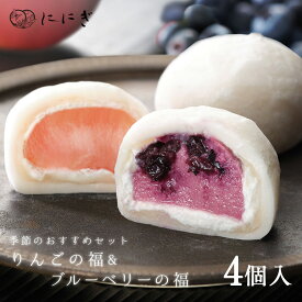 フルーツ大福4個詰合せ　ブルーベリーの福　りんごの福　各2個入