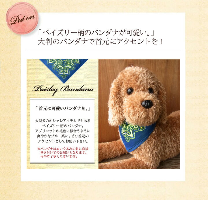 楽天市場 実物大 ポーズが変えられる スタンダードプードル アプリコット レッド ぬいぐるみ 犬 リアル 本物 そっくり ニニアンドキノ 楽天市場 実物大 ポーズが変えられる スタンダードプードル アプリコット レッド ぬいぐるみ 犬 リアル 本物 そっくり ニニアンドキノ
