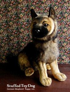 _9܂ł̒ő^yHANSA RVFp[h56 ʂ݁z  Ck ʂ A {  ybg