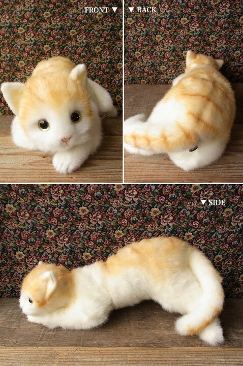 楽天市場 簡易ラッピングでお届け 童心 茶トラ猫 L ぬいぐるみ 猫 ネコ ねこ ぬいぐるみ リアル 本物 そっくり ペット ニニアンドキノ