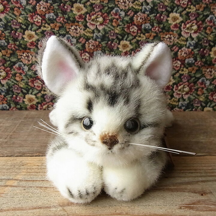 楽天市場 簡易ラッピングでお届け 三英貿易 おねだりcat アメショー グレー ぬいぐるみ 猫 ねこ ネコ ぬいぐるみ リアル 本物 そっくり ペット ニニアンドキノ